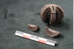Foto (Seitenansicht) von Spondylostrobus smythii F.V. Mueller (NHMW-GEO-2024-0188-10398)